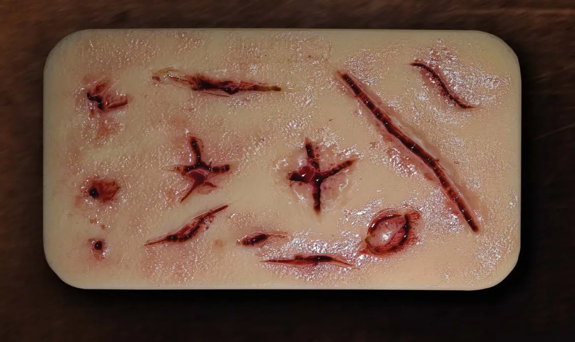 Surgical Skin