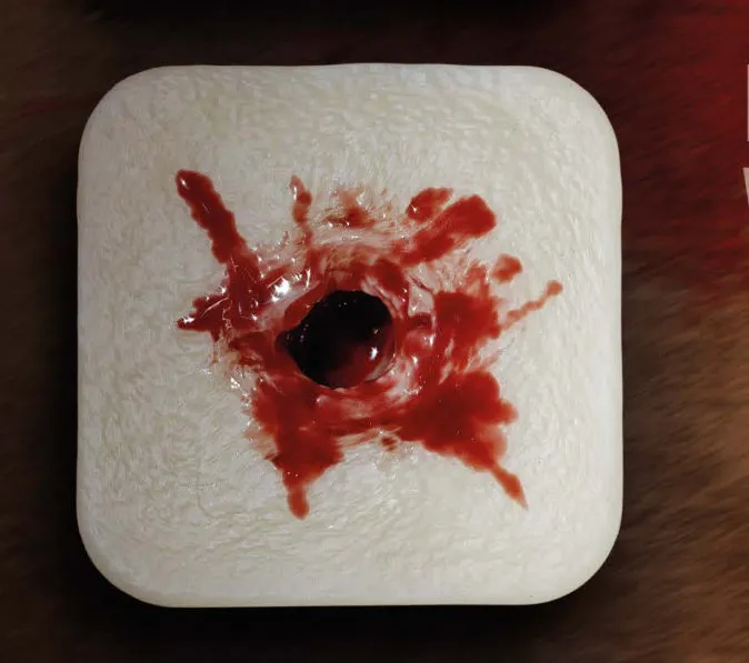 Wound Packing Simulator